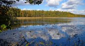 В Рязанском районе озеро Сегденское очистят к ноябрю 2022 за 1,4 млн рублей