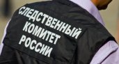 После жестокого убийства двух человек в Клепиковском районе завели уголовное дело
