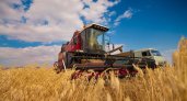 Рязанская область в 2022 году полностью обеспечена семенами