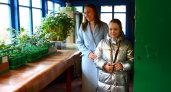 Школьница вырастила дома 300 сеянцев дубов для Рязани