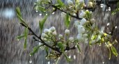 12 мая в Рязанской области ожидается дождь, ветер и +20 