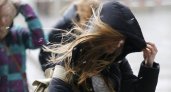 В Рязанской области выпустили метеопредупреждение из-за ветра днем 27 мая