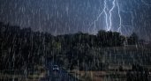 2 июня 2022 года в Рязанской области ожидается гроза, дождь и +28 градусов