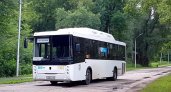 В Рязани на лето запустили автобус до Орехового озера