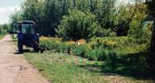 В Ряжском районе трактор косой убил женщину 58 лет