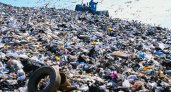 Рязанский суд заставил собственника свалки в Турлатове вывезти мусор