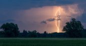 17 июня в Рязанской области ожидается гроза, дождь и +25 