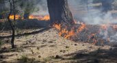 В лесах Клепиковского района до 30 июня объявлен высокий класс пожарной опасности