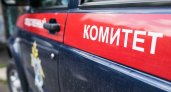 Рязанский СК подтвердил предъявление обвинения рязанским врачам перинатального центра