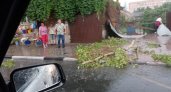 Малков поручил быстро устранить последствия урагана в Рязани