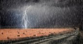 В Рязани объявили метеопредупреждение из-за грозы 23 июля