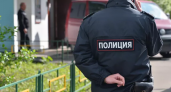 В Рязани полиция организовала проверку по факту ДТП с пьяным водителем в Борках