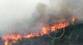 Эпицентр крупного лесного пожара в Рязанской области сняли на видео