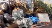 Жители Рязани жалуются на нашествие крыс в Горроще
