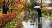 15 сентября в Рязанской области ожидаются дождь и до +16