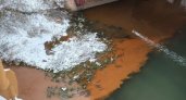 Река Павловка в Рязани загрязняется выбросами с неприятным запахом