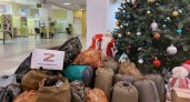Жители Рязанской области отправили больше тонны гуманитарной помощи для мобилизованных