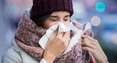 В Рязанской области заболеваемость гриппом и ОРВИ увеличилась на 11,6%