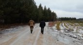 В лесах Рязанской области усилена охрана в преддверии новогодних праздников