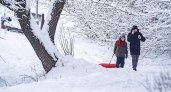 2 февраля в Рязанской области ожидается снегопад и до -6