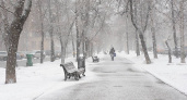 1 марта в Рязанской области ожидается умеренный снег и до -9