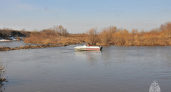 В Рязанской области уровень воды в Оке аномально поднялся на 10 см за сутки 