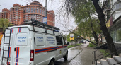 В Рязани на улице Чкалова упавшее дерево оборвало троллейбусные линии