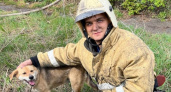 В Рязани пожарные спасли привязанную к горящему дому собаку