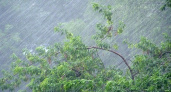 30 апреля МЧС Рязанской области выпустило метеопредупреждение о мощном ветре и дожде