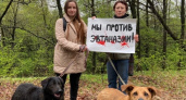 В Рязани зоозащитники вышли на акцию против закона об эвтаназии бездомных животных