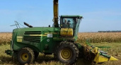Рязанская область получит 171 млн рублей на поддержку производителей зерновых культур