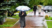 4 мая в Рязанской области ожидается дождь и до +18
