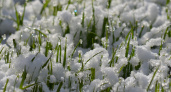 6 мая в Рязанской области ожидается дождь со снегом и до -2
