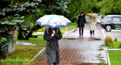 11 мая в Рязанской области ожидаются дожди и -2