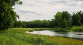Русло реки Солотча в Рязанской области планируется очистить до 25 ноября