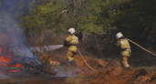 Жителей Рязани предупредили о 4 классе пожарной опасности