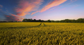 Сельхозпредприятия Рязанской области начали обработку полей пестицидами