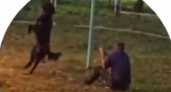 В Рыбновском районе засняли пытавшегося повесить пса на турнике рязанца