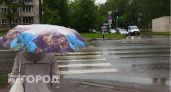 Синоптики предупреждают рязанцев о небольшом дожде 16 июля