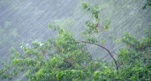 9 августа МЧС Рязанской области предупредило о ливнях, грозах, граде и усилении ветра