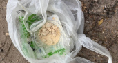 20-летний житель Рязани торговал в городе синтетическими наркотиками