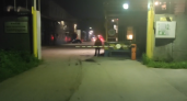 Появилось видео из эпицентра пожара на бывшем ламповом заводе в Рязани