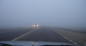 МЧС предупредило о тумане в Рязанской области 11 сентября