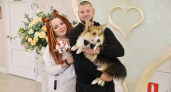 В рязанском ЗАГС опубликовали фото свадеб сентября 2023 года