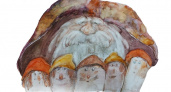В МВЦ «Фотодом» с 16 октября откроется выставка «В Рязани грибы с глазами»