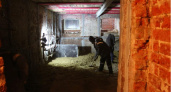 При ремонте школы № 1 имени В. П. Екимецкой рабочие нашли подземный этаж здания