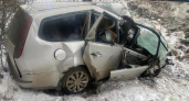 В Сасовском районе в ДТП с фурой погиб 65-летний водитель Ford