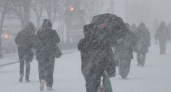 Жителей Рязанской области предупредили о метели и снежных заносах 12 декабря