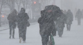 МЧС Рязанской области предупредило о метели и снежных заносах 15 декабря