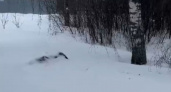 Прокуратура Рязанской области проверит информацию о смерти инвалида из-за нечищеного снега